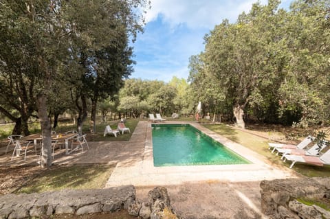 Day, Natural landscape, Garden, Garden view, Pool view, Swimming pool, sunbed