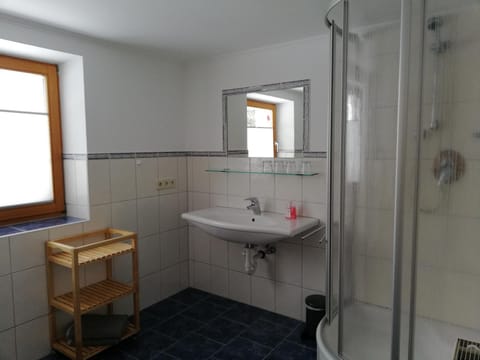 Shower, Toilet, Bathroom, Decorative detail