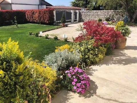 Casa Ongaro Apartment in Friuli-Venezia Giulia