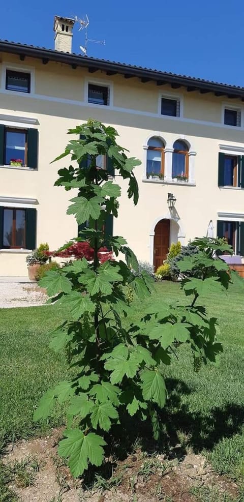 Casa Ongaro Apartment in Friuli-Venezia Giulia