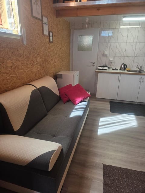 Bed, Kitchen or kitchenette, Seating area