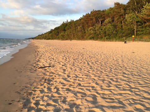 Domki letniskowe Arkadia Campground/
RV Resort in West Pomeranian Voivodeship, Poland