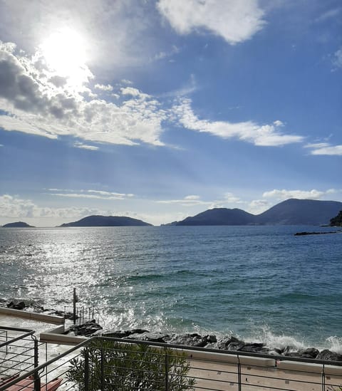 Sea & Culture Apartment in Lerici