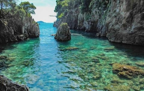 Sea & Culture Apartment in Lerici