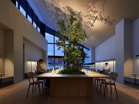 Lounge or bar