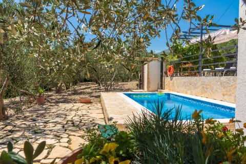 Garden, Garden view, Pool view, Swimming pool