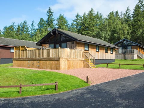 Pine Tree House in England
