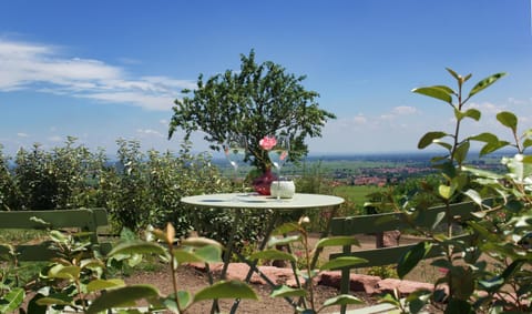 View (from property/room), Balcony/Terrace