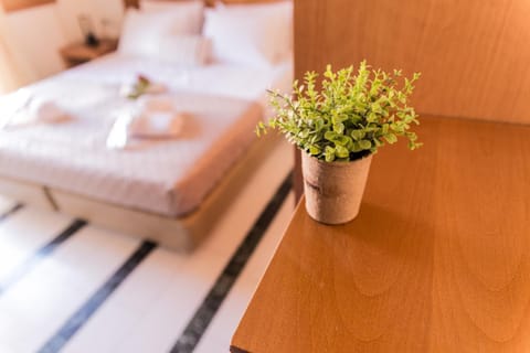 Irene Suite Chania Apartment hotel in Chania