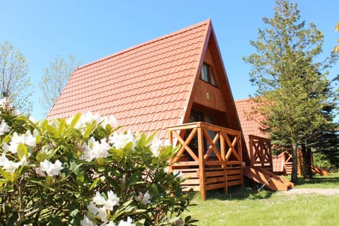 Ośrodek Wypoczynkowy Camping nr 156 Apartment in Pomeranian Voivodeship