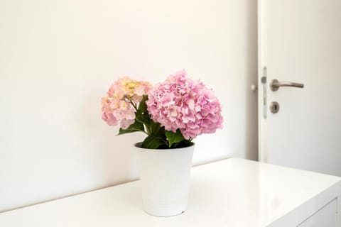 Matej Vacation rental in Šibenik-Knin County, Croatia