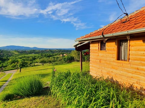 Property building, Garden view, Mountain view
