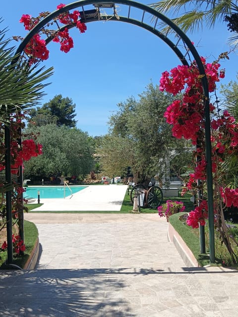 Garden, Swimming pool