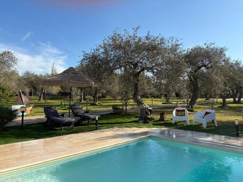 Garden, Swimming pool