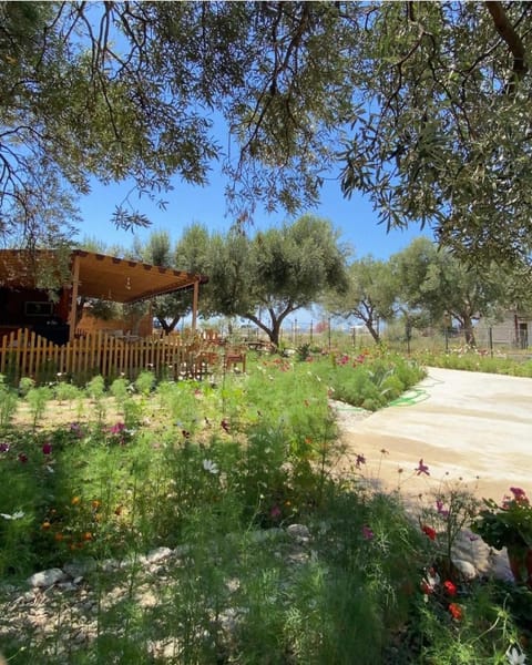 Property building, Garden