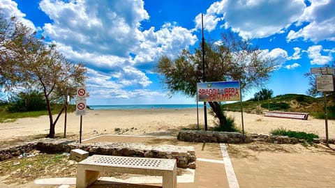 Day, Summer, Beach, On site