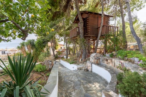 Inner courtyard view