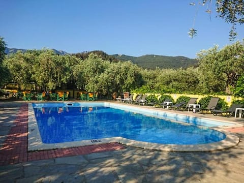 Swimming pool, Swimming pool