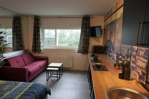 Studio Style industriel Apartment in Carquefou