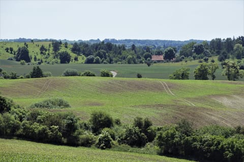 Natural landscape, View (from property/room)
