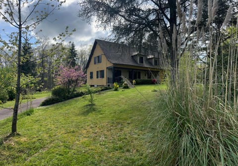 Property building, Garden, Garden view