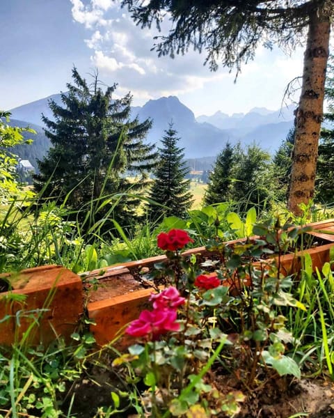 Petrovača Apartment in Montenegro