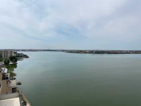 Lake view