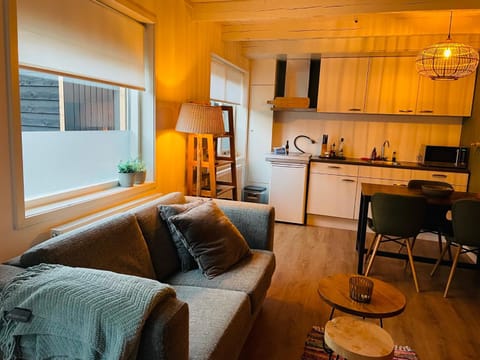 Beach House Parallel Apartment in Noordwijk