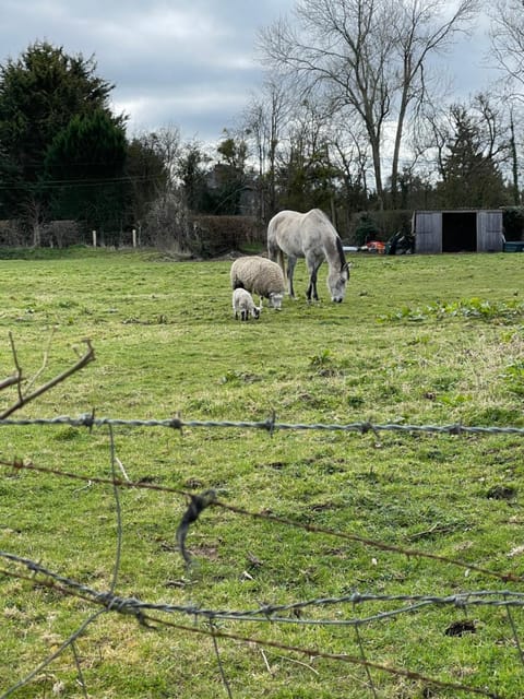 Les Apparts Apartment in Normandy