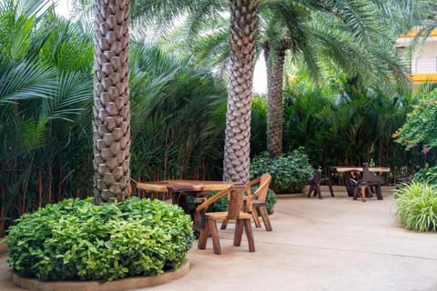 Natural landscape, Area and facilities