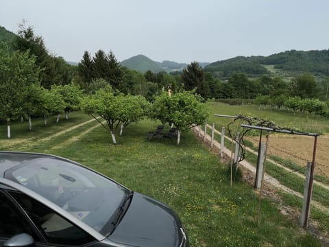 Garden, Garden view, Mountain view, Location