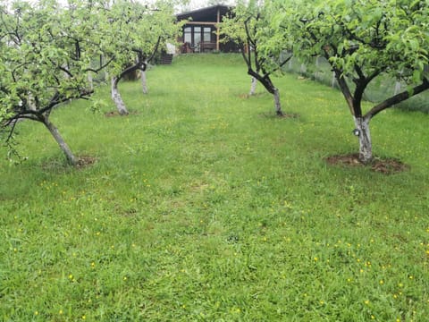 Holiday Home Dragon House in Federation of Bosnia and Herzegovina