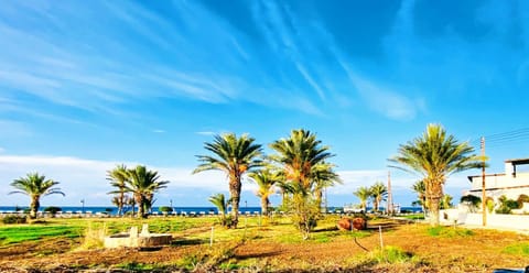 Neighbourhood, Beach