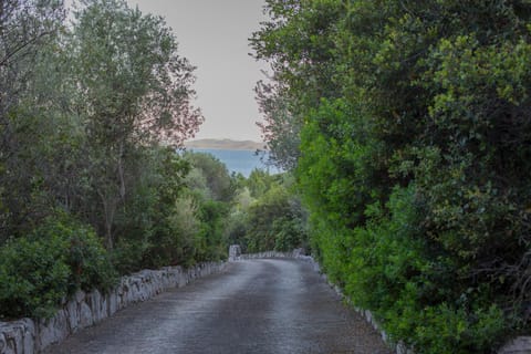 Facade/entrance, Garden