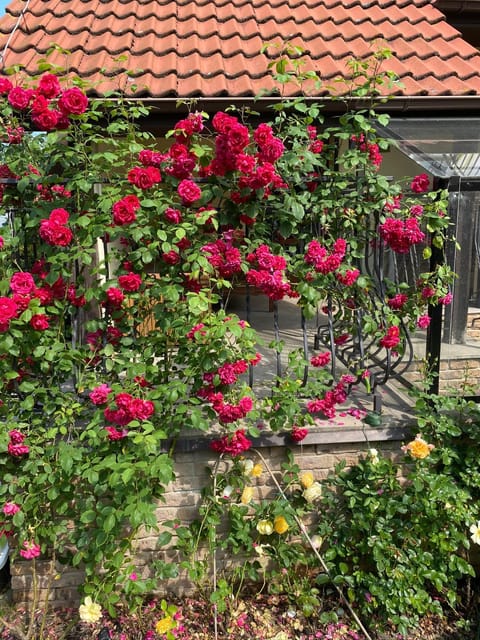 Apartamenty Słupskie Apartment in Pomeranian Voivodeship