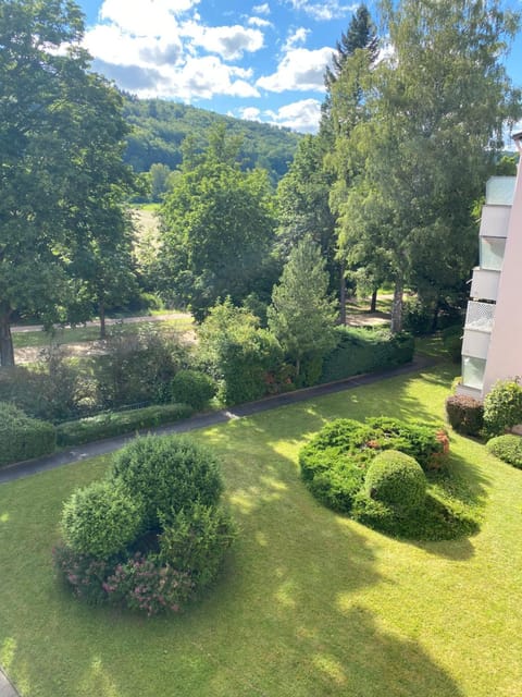 Natural landscape, Garden, Hiking, Garden view
