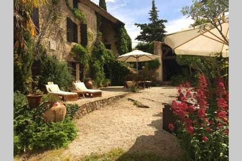 Patio, Day, Garden, Garden view, sunbed