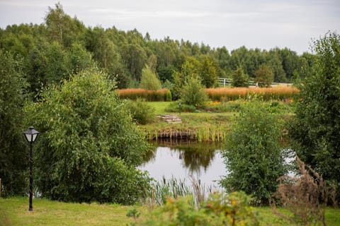 Natural landscape, Garden view