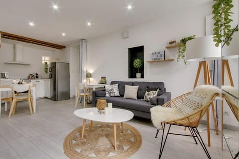Palm house Sauna city center ideal Insead Apartment in Fontainebleau