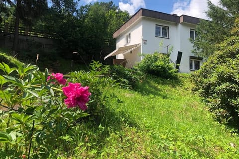 Property view