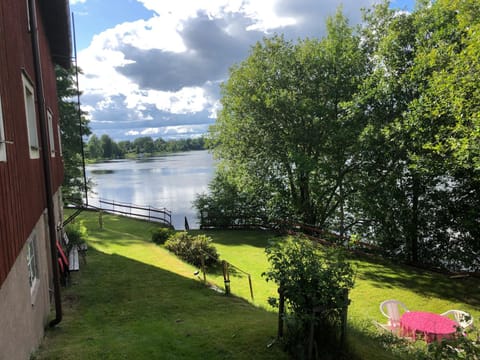 Natural landscape, River view