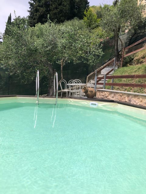 Natural landscape, Pool view, Swimming pool