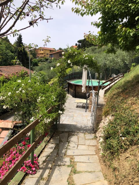 Garden, Garden view, Swimming pool
