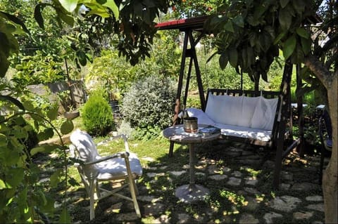 Property building, Garden, sunbed