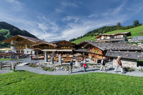 Balcony/Terrace, Garden view