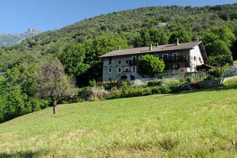 Property building, Garden view