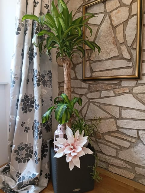 Living room, Decorative detail