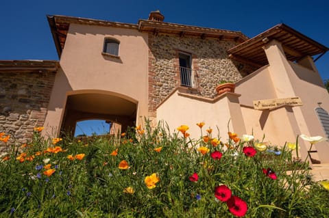Sorelle Biologiche Farm Stay in Umbria