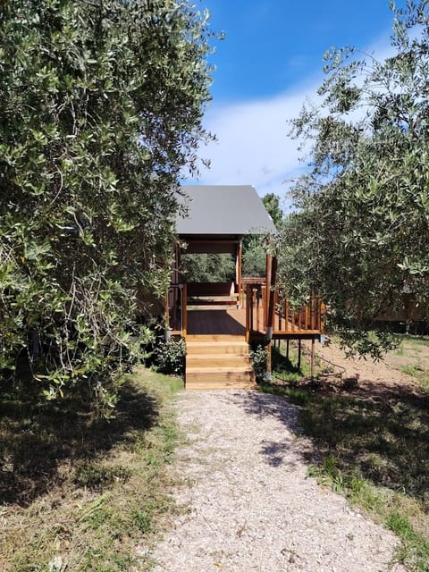 Sorelle Biologiche Farm Stay in Umbria