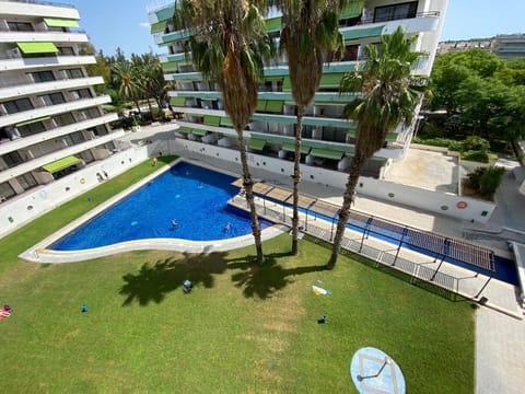Garden, Swimming pool, Swimming pool